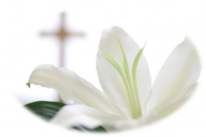 Lily and Cross